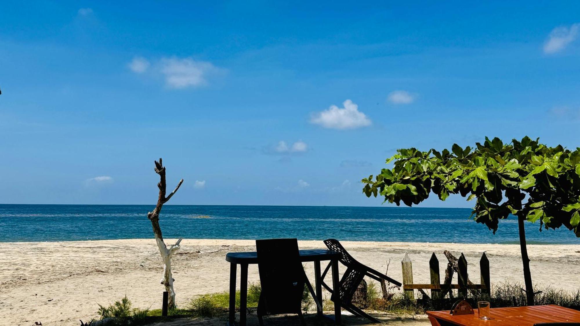 Alivious Beach Homestay Alappuzha Eksteriør bilde